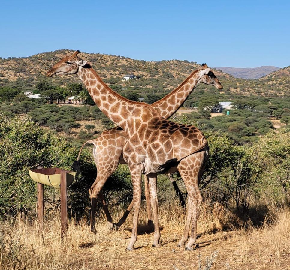 Windhoek Game Camp Lafrenz Township エクステリア 写真