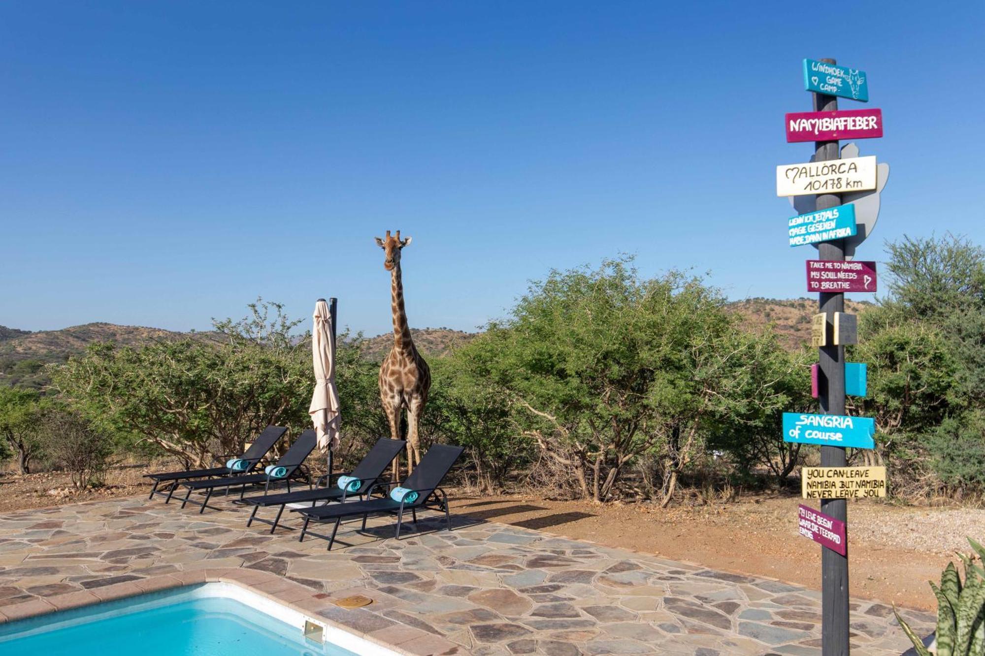 Windhoek Game Camp Lafrenz Township エクステリア 写真