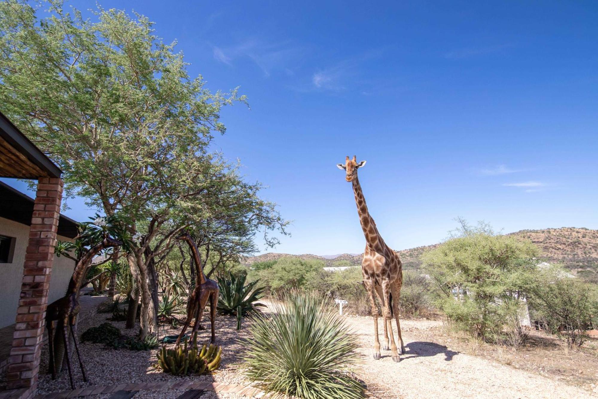 Windhoek Game Camp Lafrenz Township エクステリア 写真
