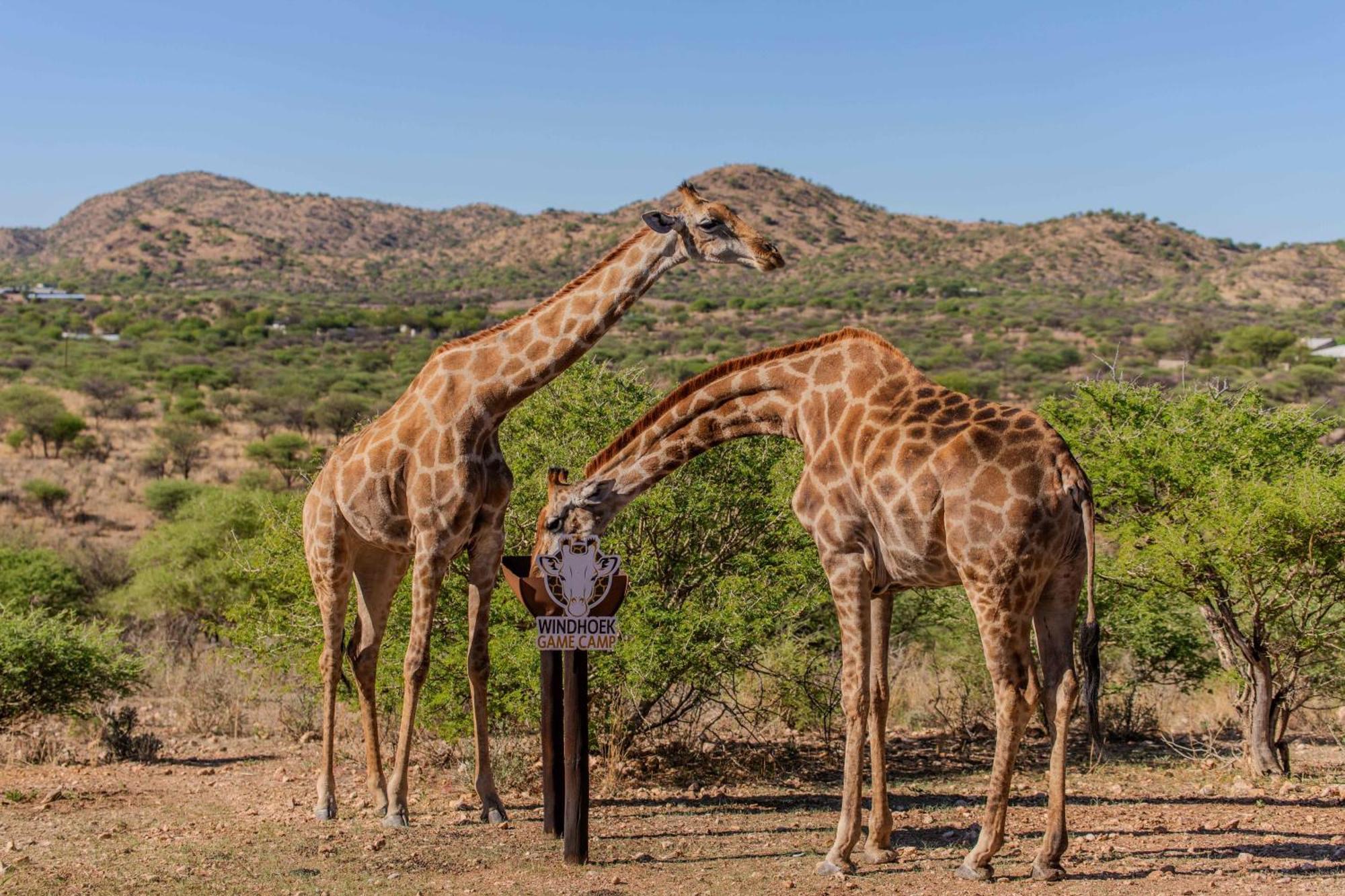 Windhoek Game Camp Lafrenz Township エクステリア 写真