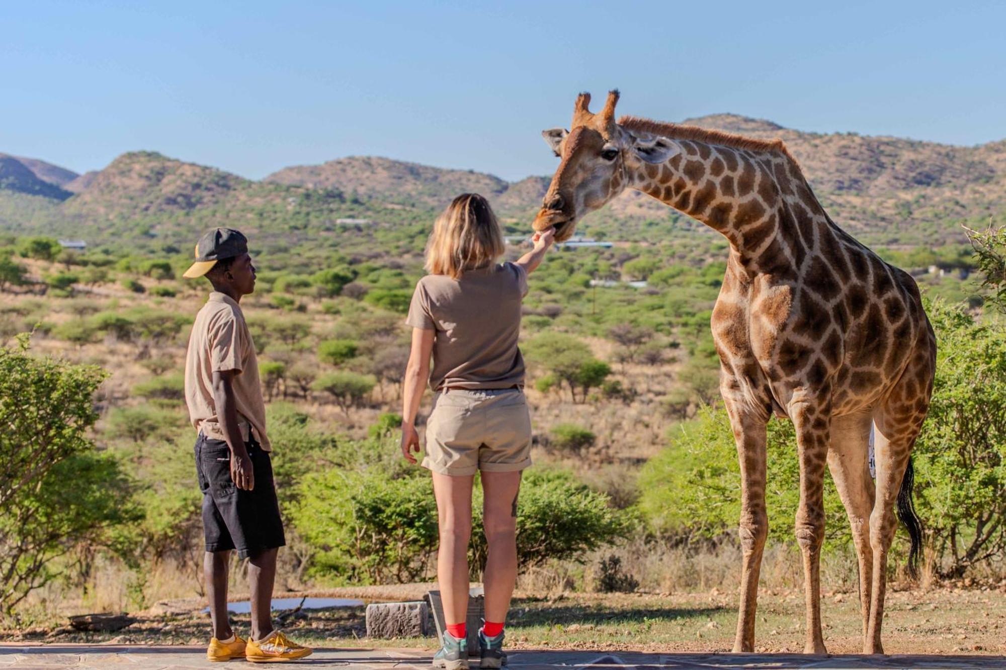 Windhoek Game Camp Lafrenz Township エクステリア 写真