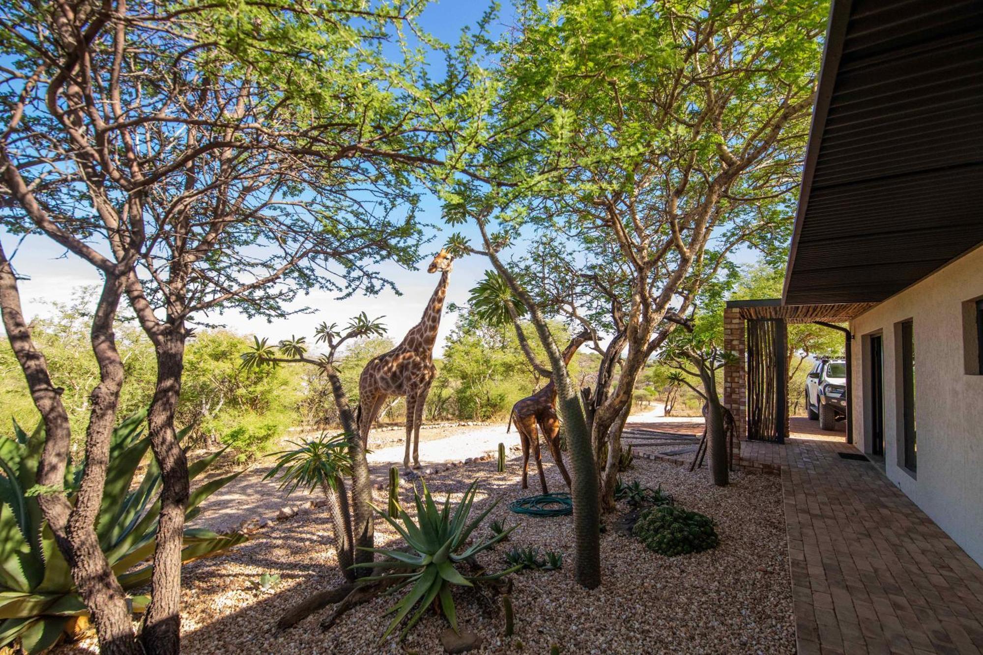 Windhoek Game Camp Lafrenz Township エクステリア 写真