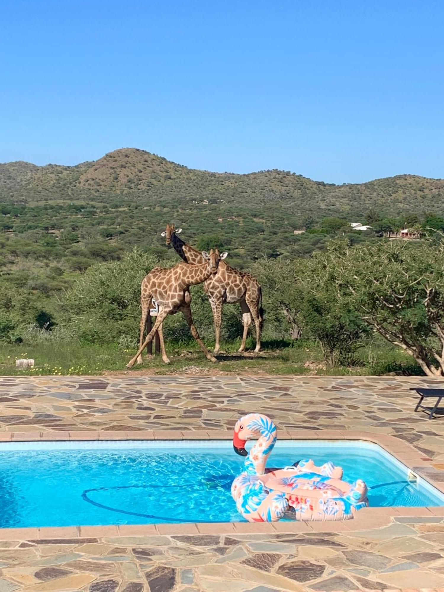 Windhoek Game Camp Lafrenz Township エクステリア 写真