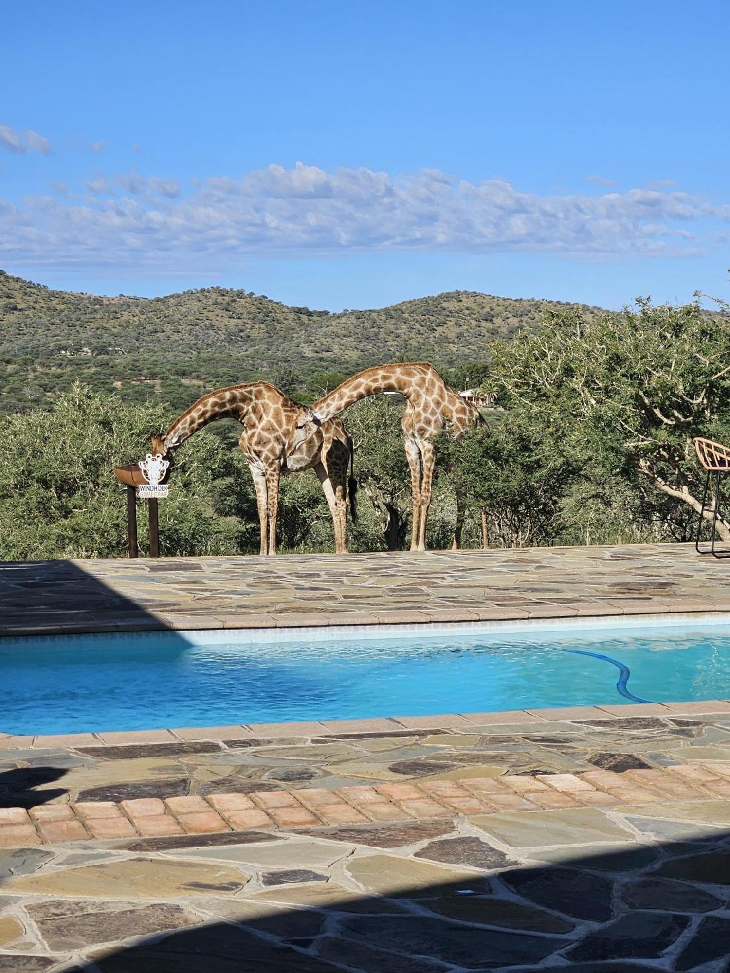 Windhoek Game Camp Lafrenz Township エクステリア 写真