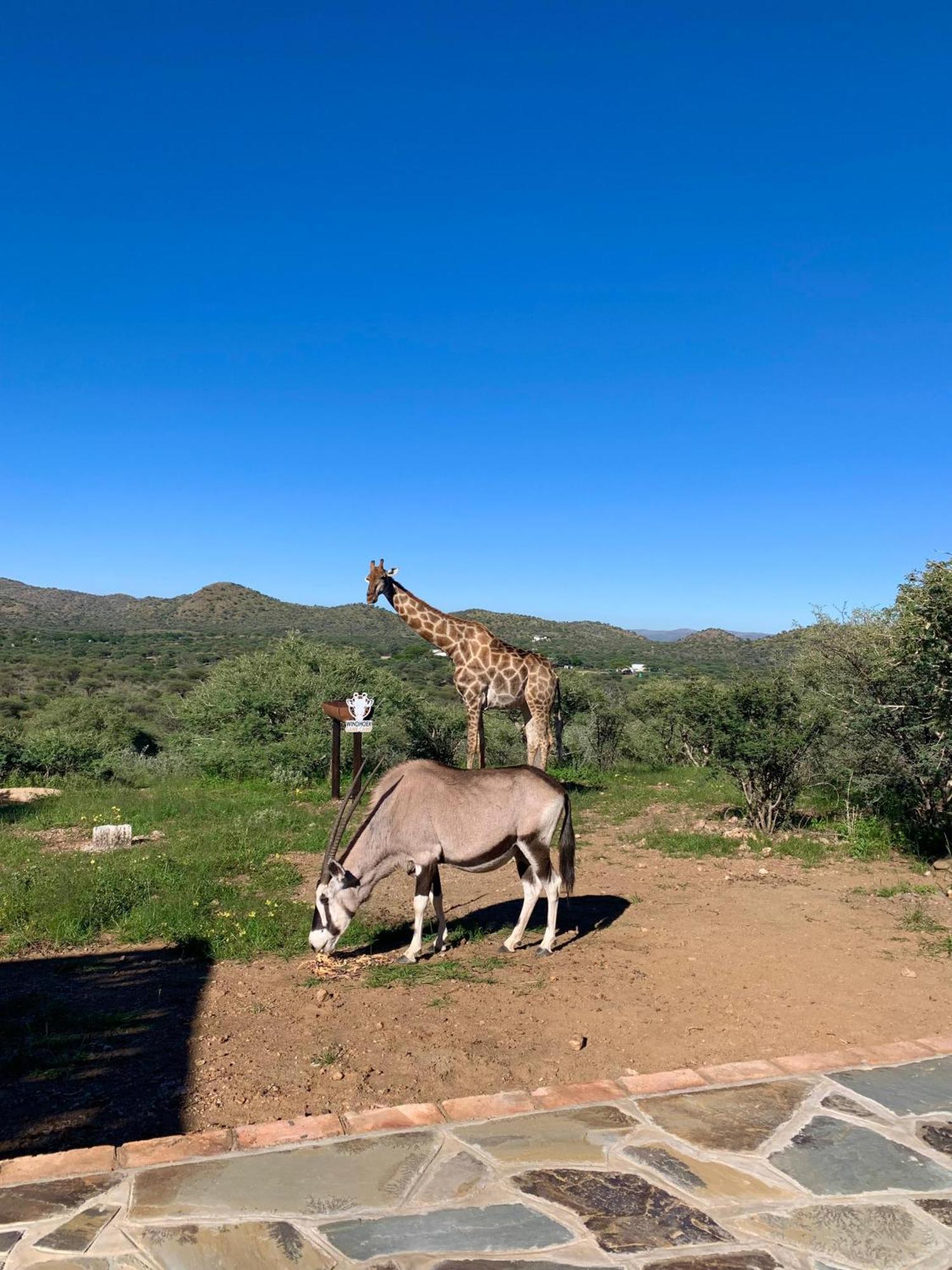 Windhoek Game Camp Lafrenz Township エクステリア 写真