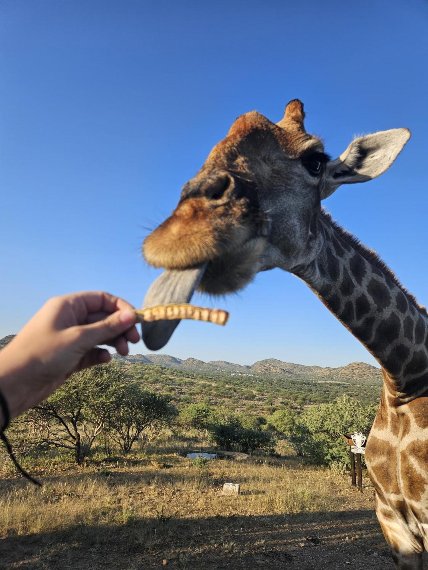 Windhoek Game Camp Lafrenz Township エクステリア 写真